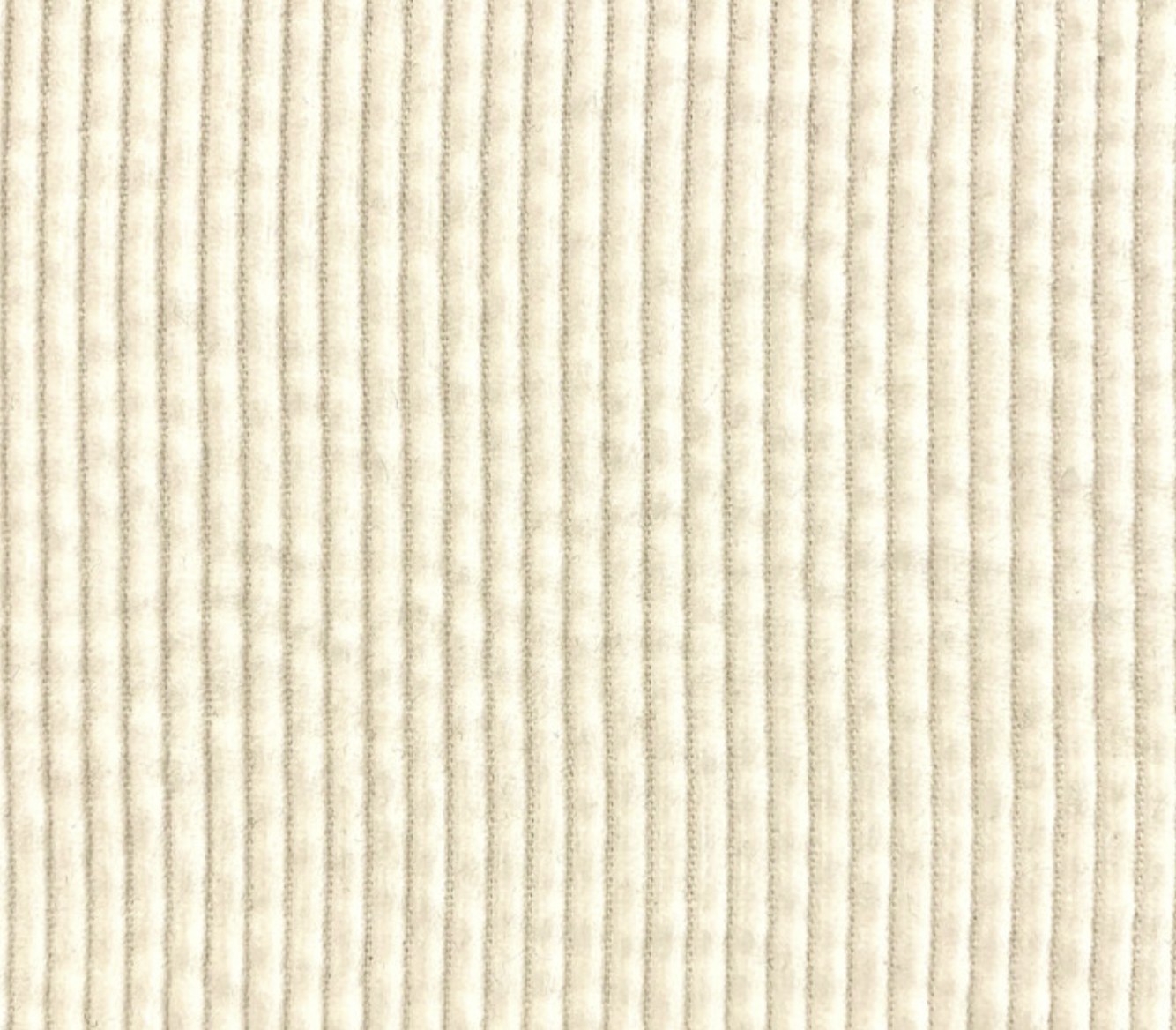 Tissu Velours Côtelé Écru – par 10 cm